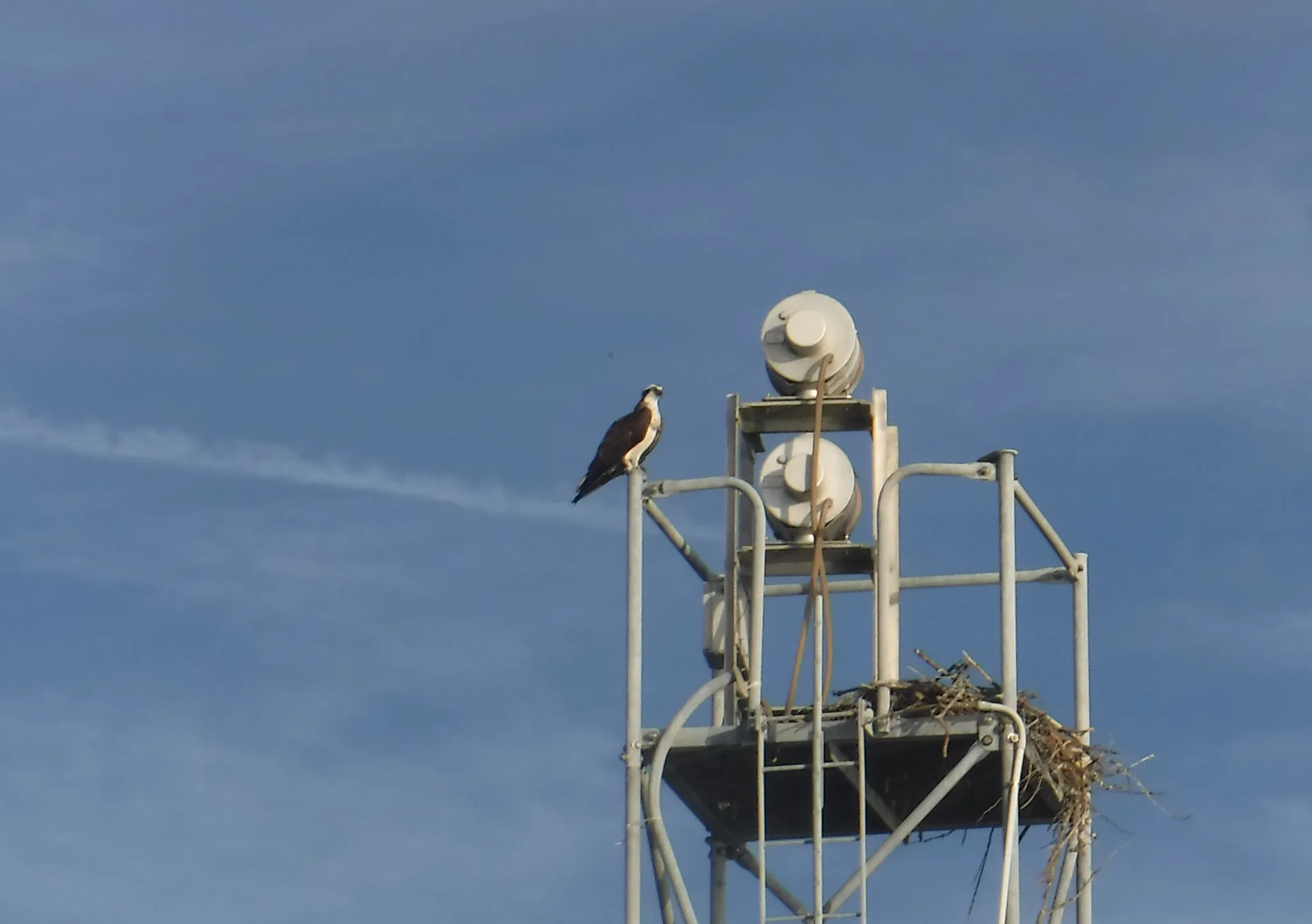 dscf1710.webp
