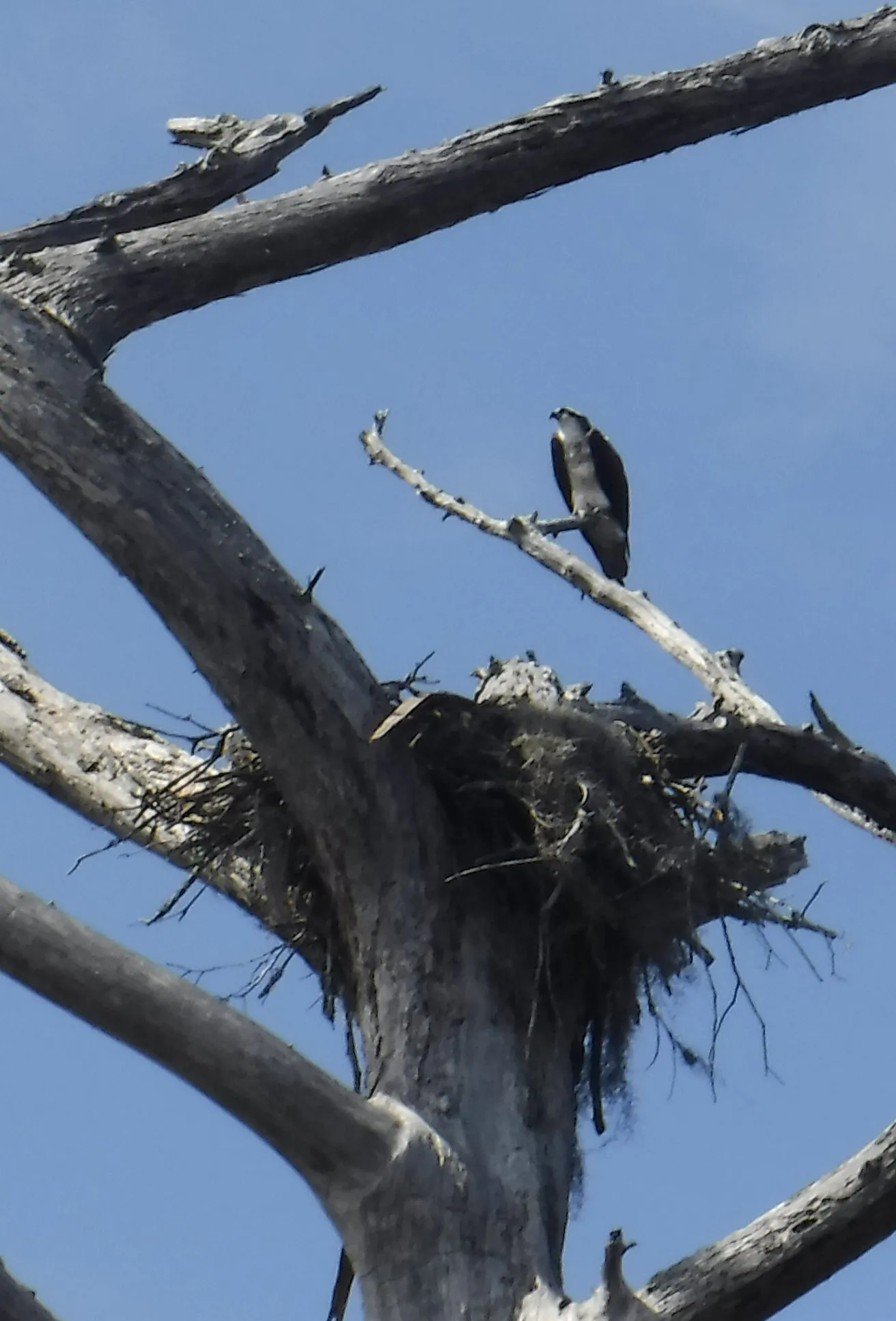 dscf1753.webp