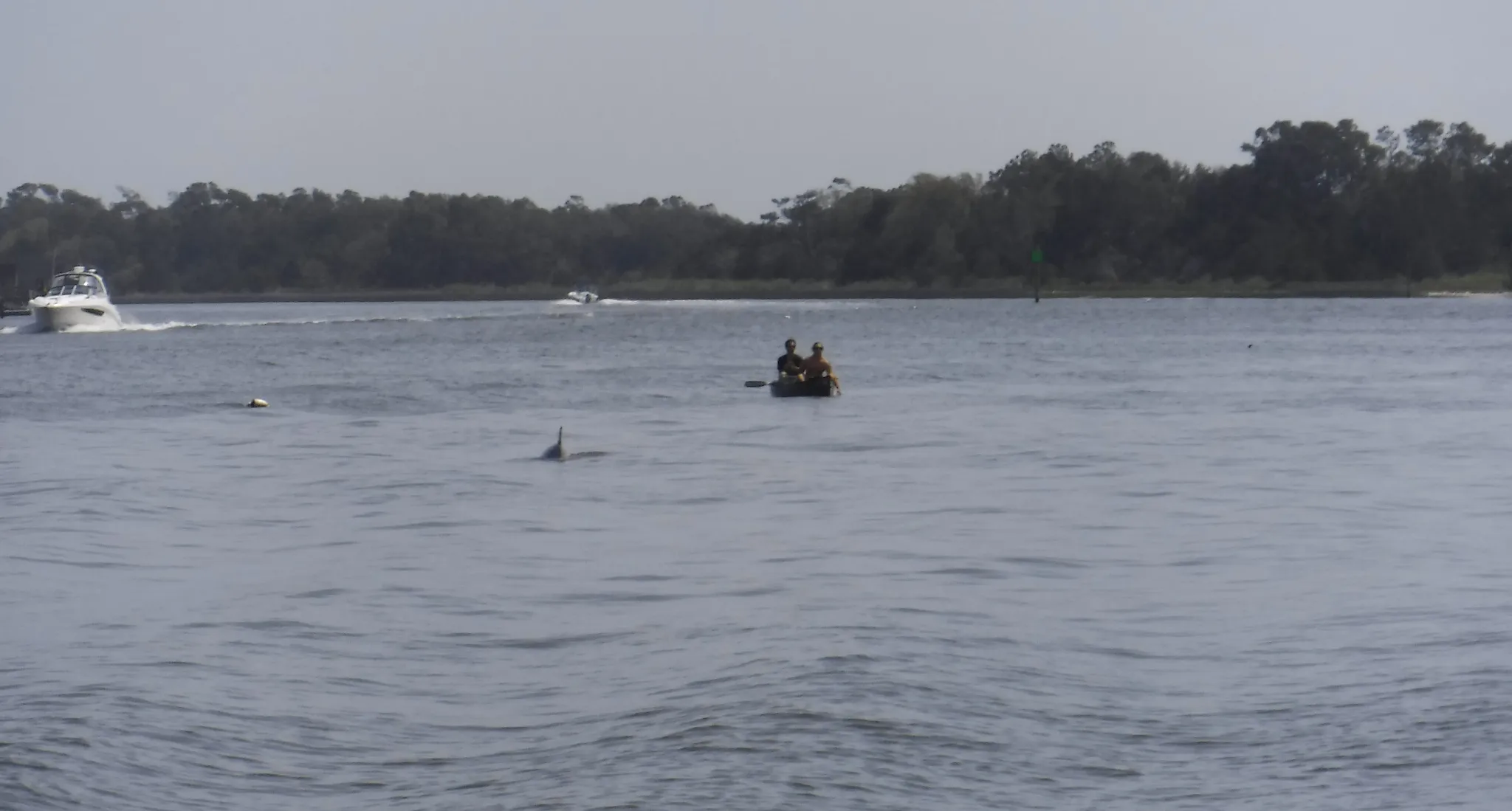 dscf1771.webp